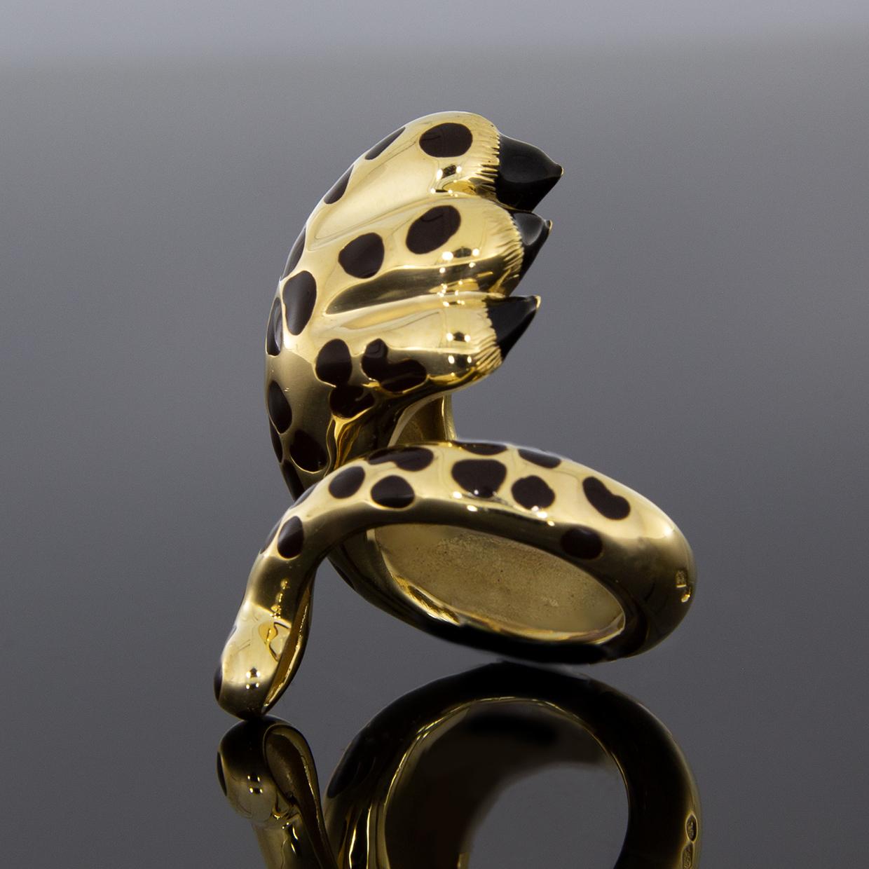 leopards paw