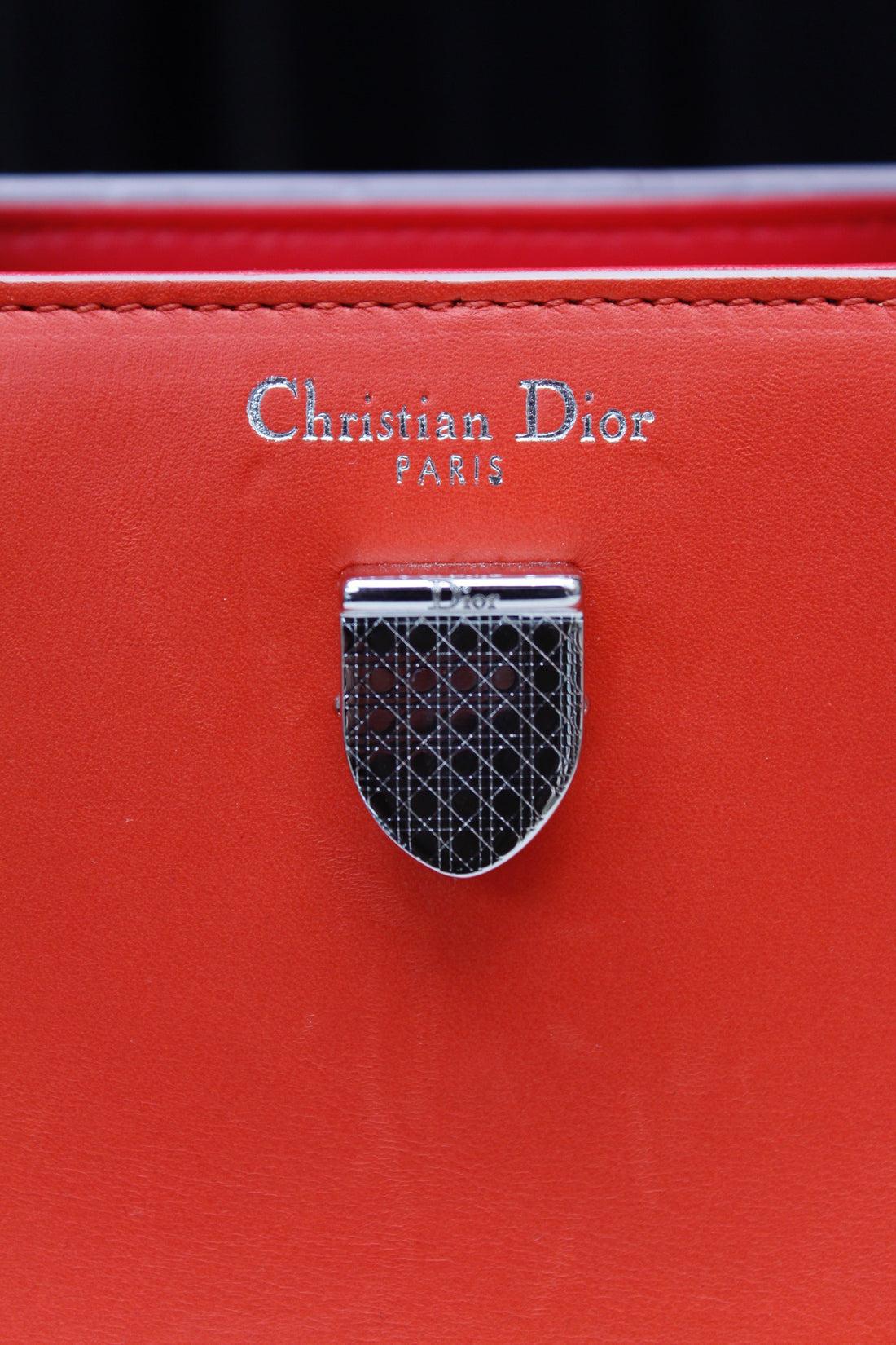 Dior Modern Leather Bag in Orange and White Leather 8