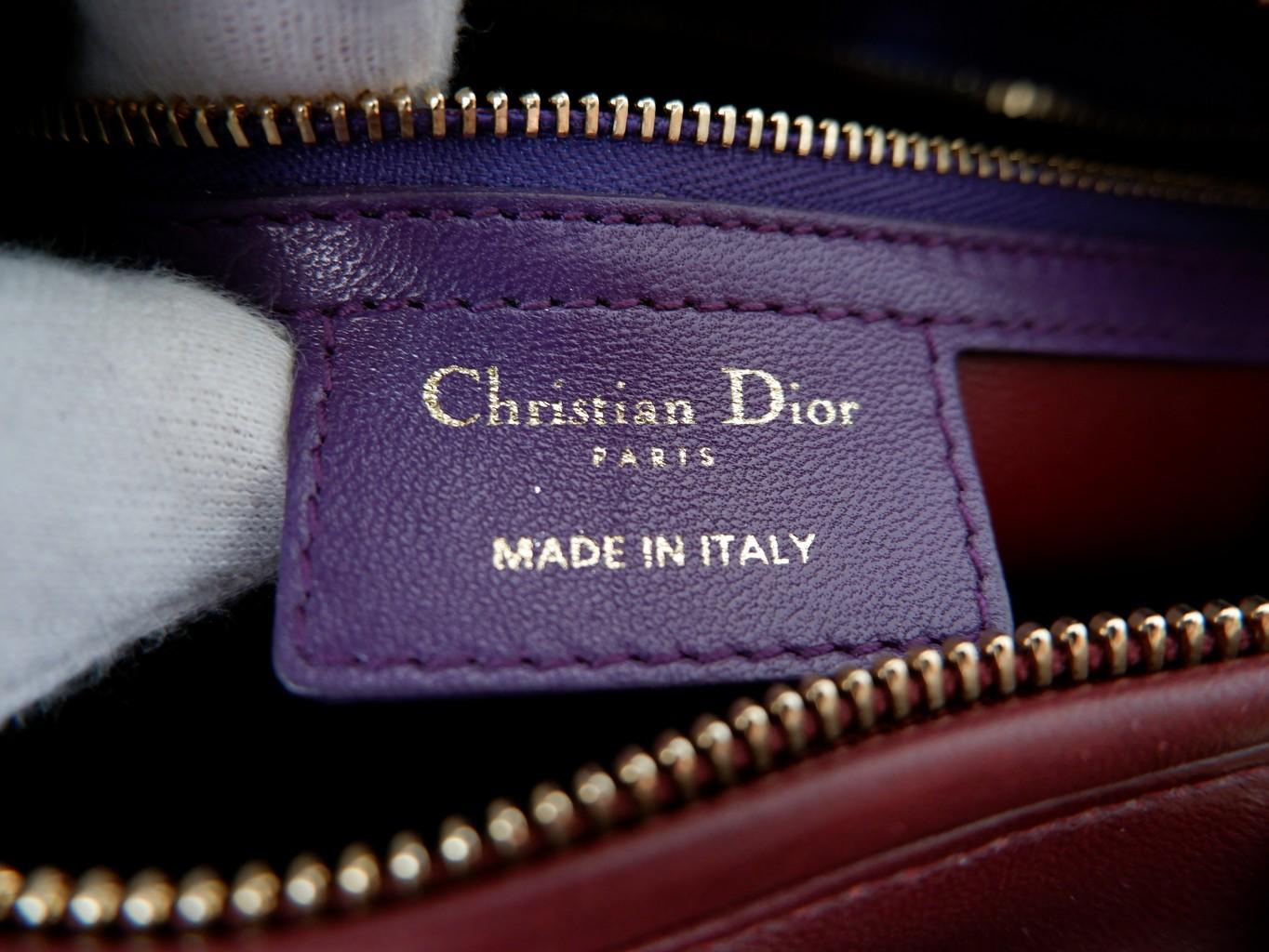 Dior Multicolor Cannage Medium Handbag 4