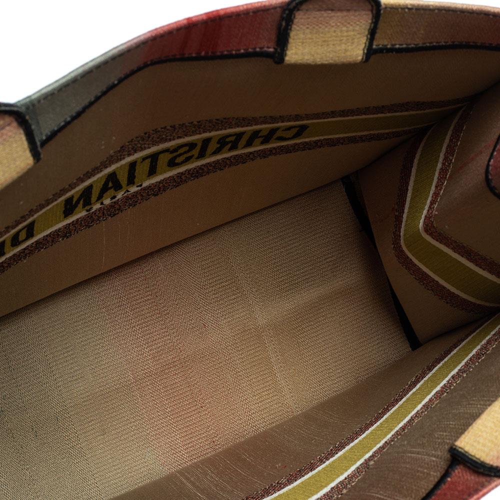 Dior Multicolor Dioraura Canvas-Buch-Tasche 7