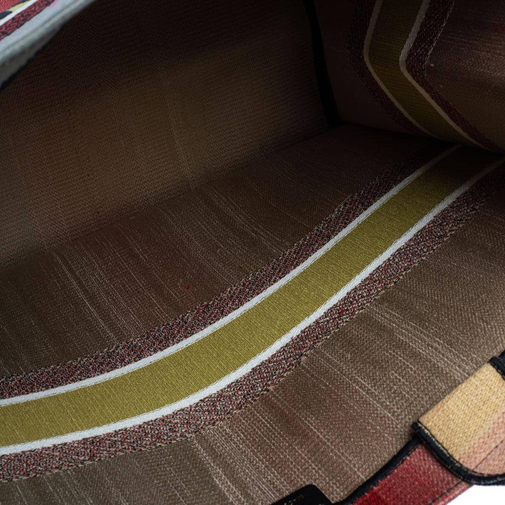 Dior Multicolor Dioraura Canvas-Buch-Tasche 8