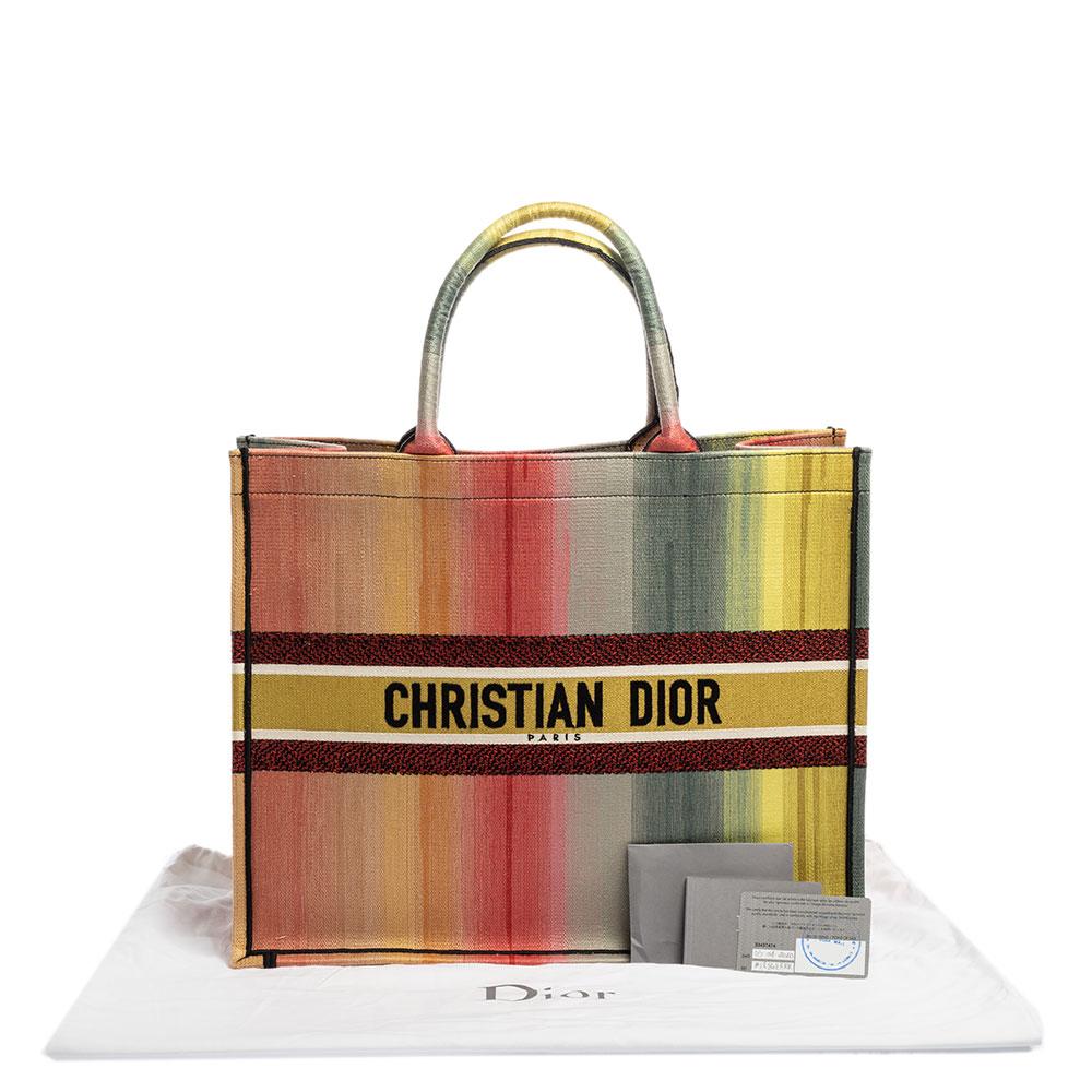 Rainbow dior bag clearance