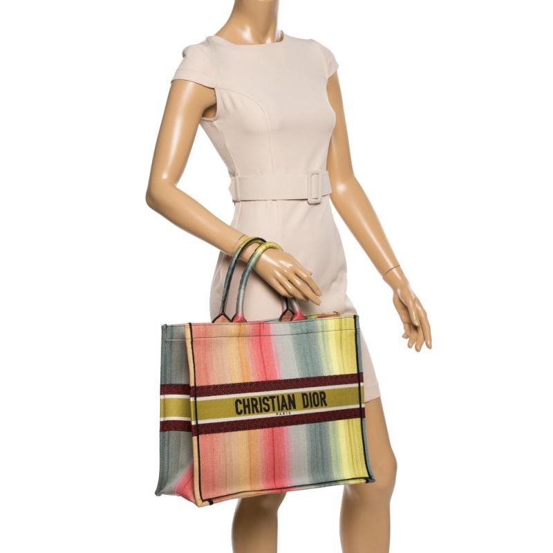 Dior Multicolor Dioraura Canvas-Buch-Tasche (Braun)