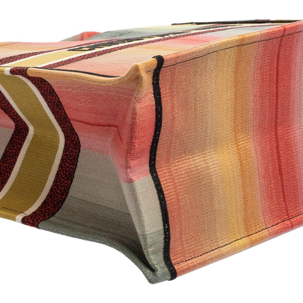 Dior Multicolor Dioraura Canvas-Buch-Tasche 1