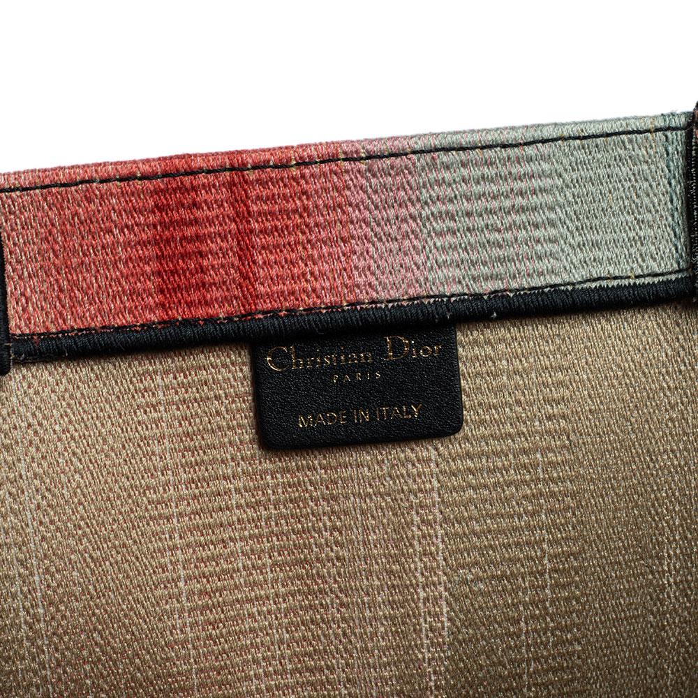 Dior Multicolor Dioraura Canvas-Buch-Tasche 3