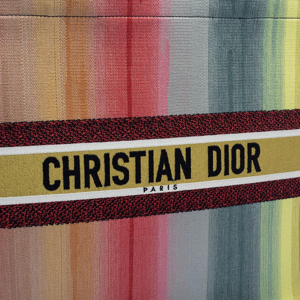 Dior Multicolor Dioraura Canvas-Buch-Tasche 4