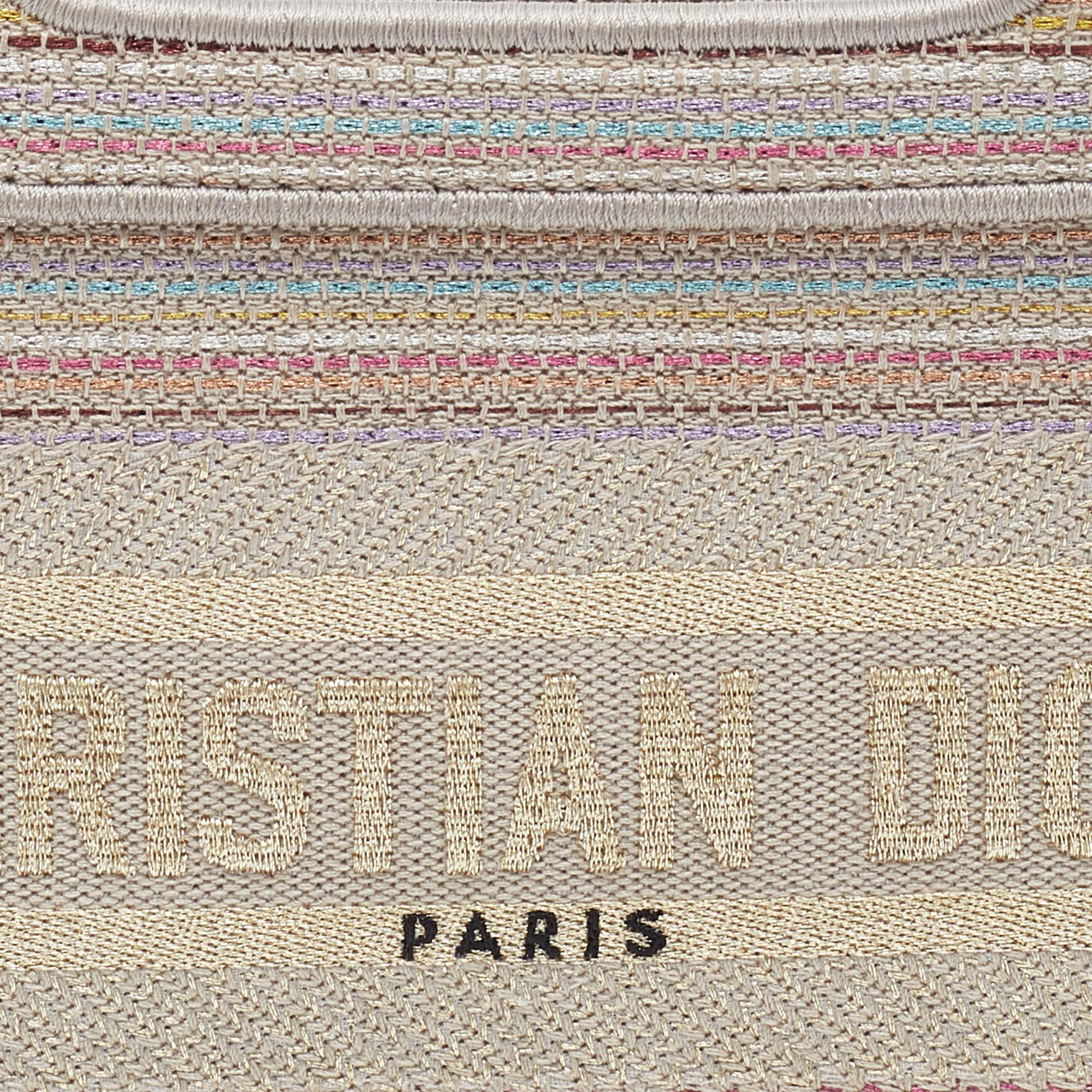 Dior Multicolor Embroidered Stripes Canvas Mini Book Tote 1