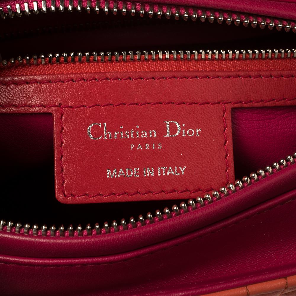 Dior Multicolor Leather Medium Lady Dior Tote 5
