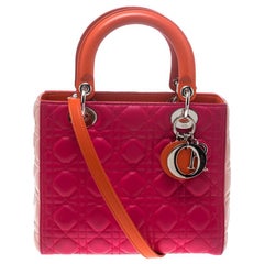 Dior Multicolor Leather Medium Lady Dior Tote