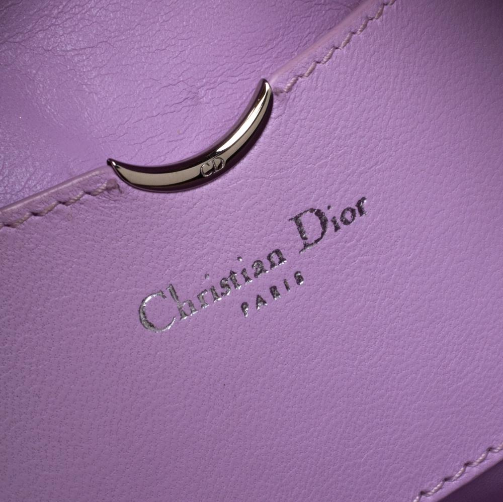 Dior Multicolor Leather Pocket Frame Clutch 2
