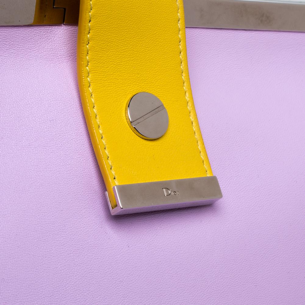 Dior Multicolor Leather Pocket Frame Clutch 3