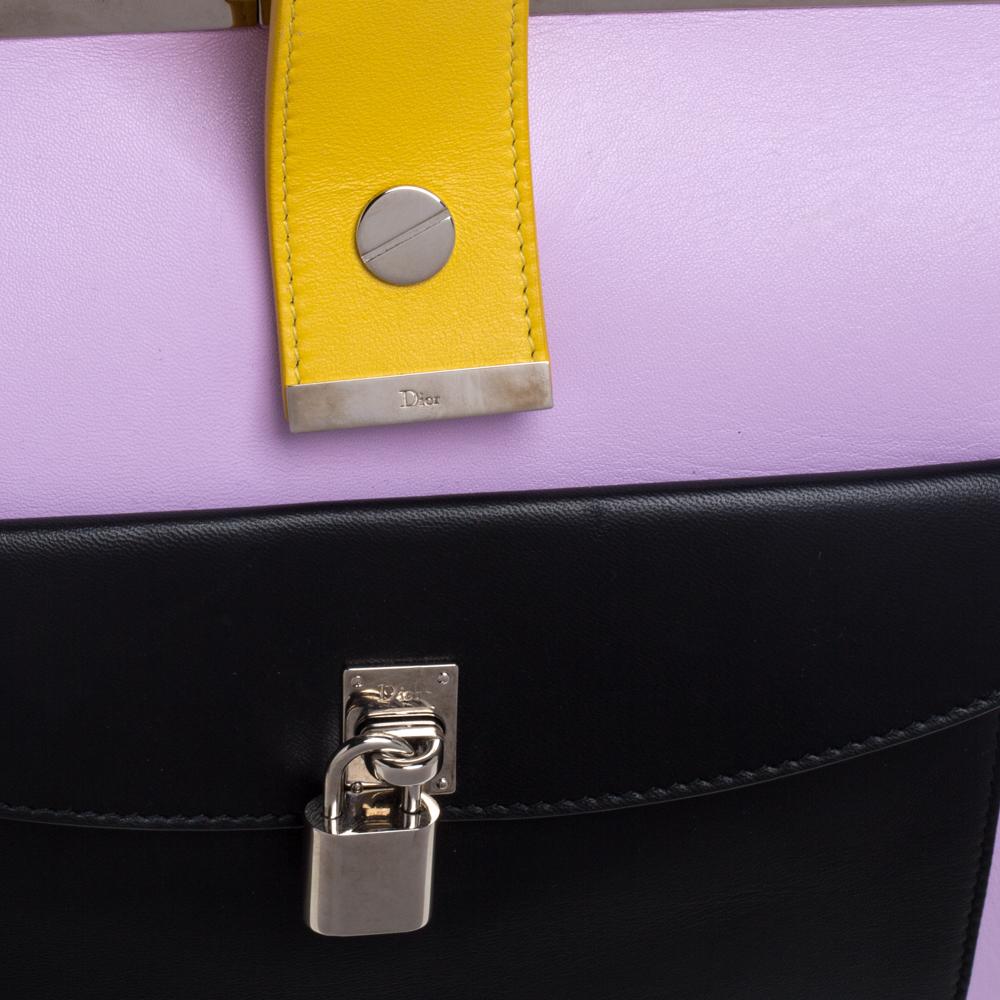 Dior Multicolor Leather Pocket Frame Clutch 4