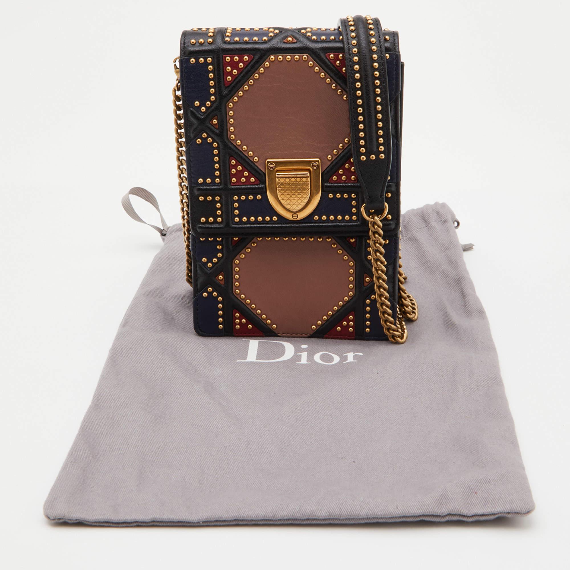 Dior Multicolor Leather Studded Diorama Vertical Chain Clutch 4