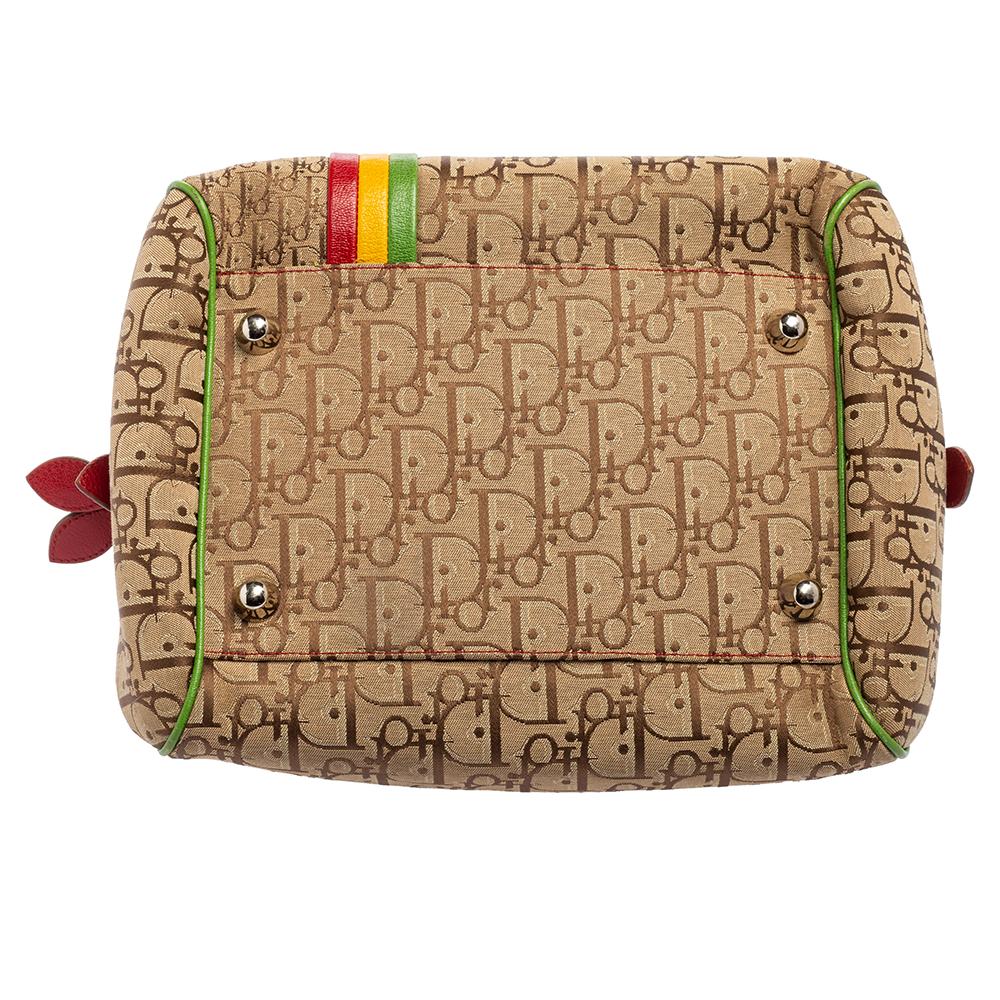 Dior Multicolor Oblique Segeltuch und Leder Rasta Boston Tasche Damen