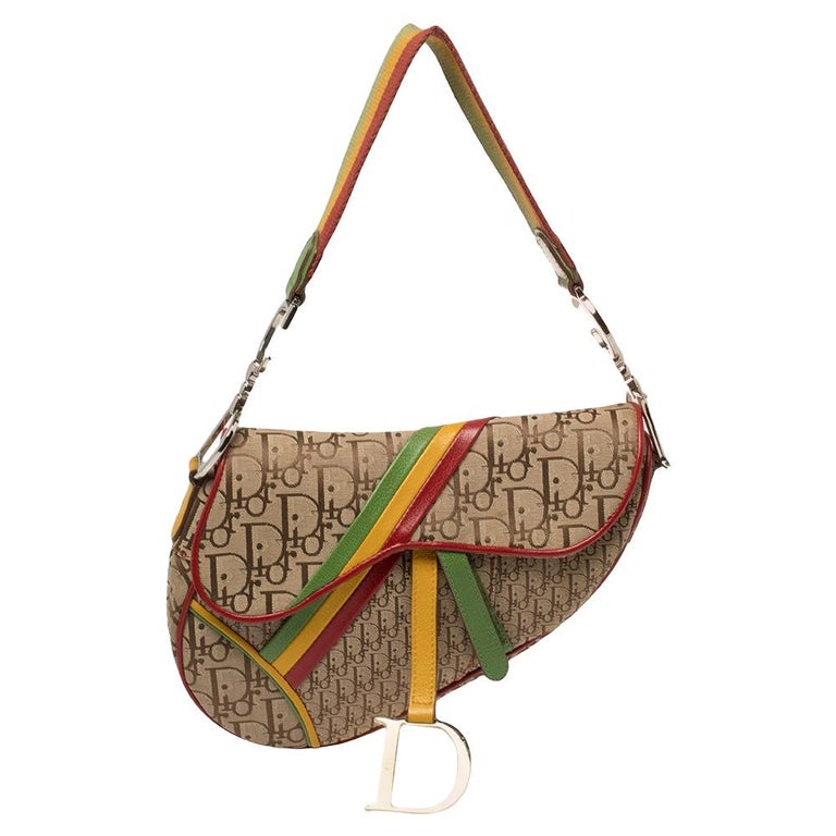 Dior Multicolor Oblique Canvas and Leather Rasta Saddle Bag at 1stDibs