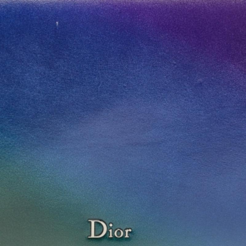 Dior Multicolor Ombre Leather Flap Bag For Sale 5