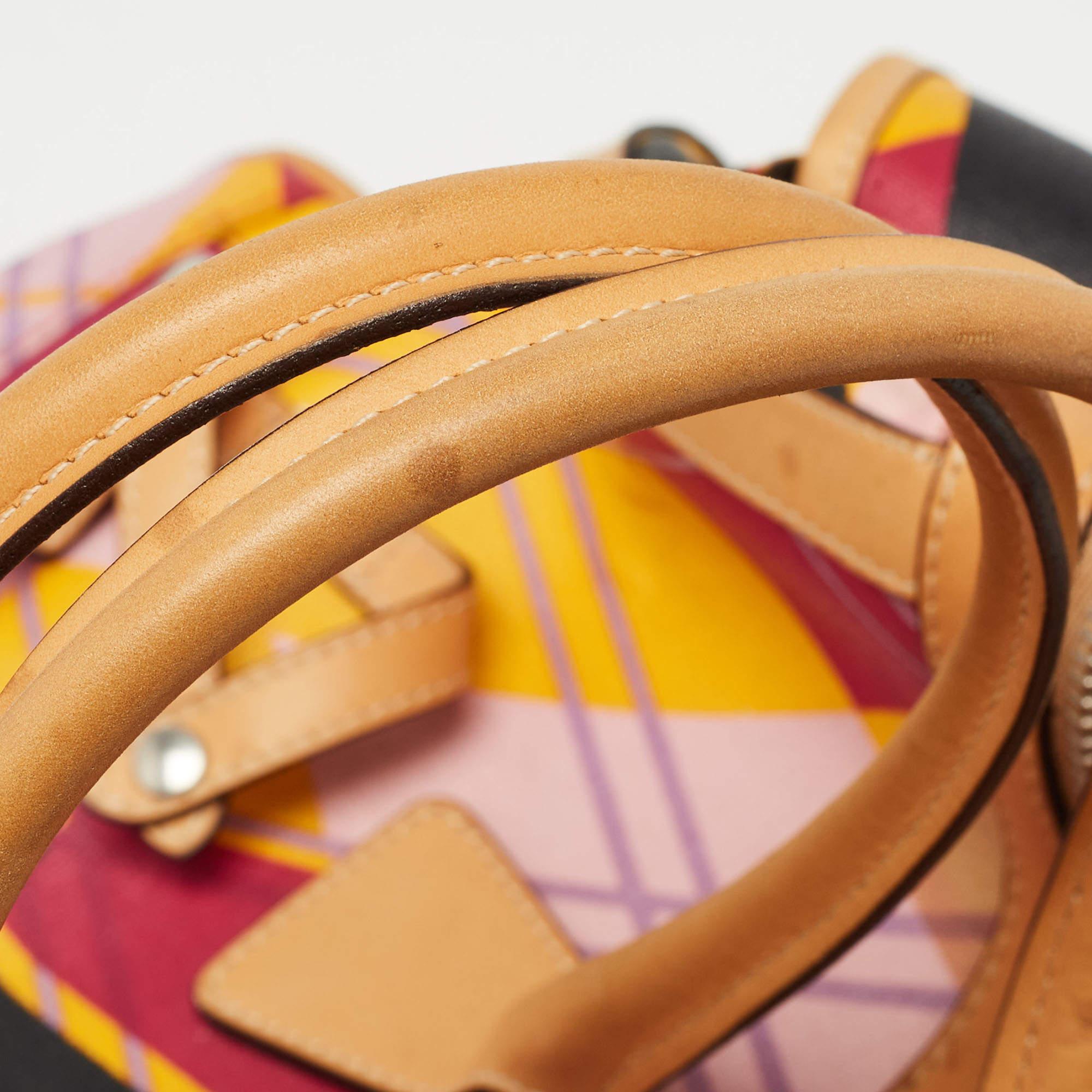 Dior Argyle-Tasche aus bedrucktem, beschichtetem Segeltuch und Leder, mehrfarbig bedruckt im Angebot 3