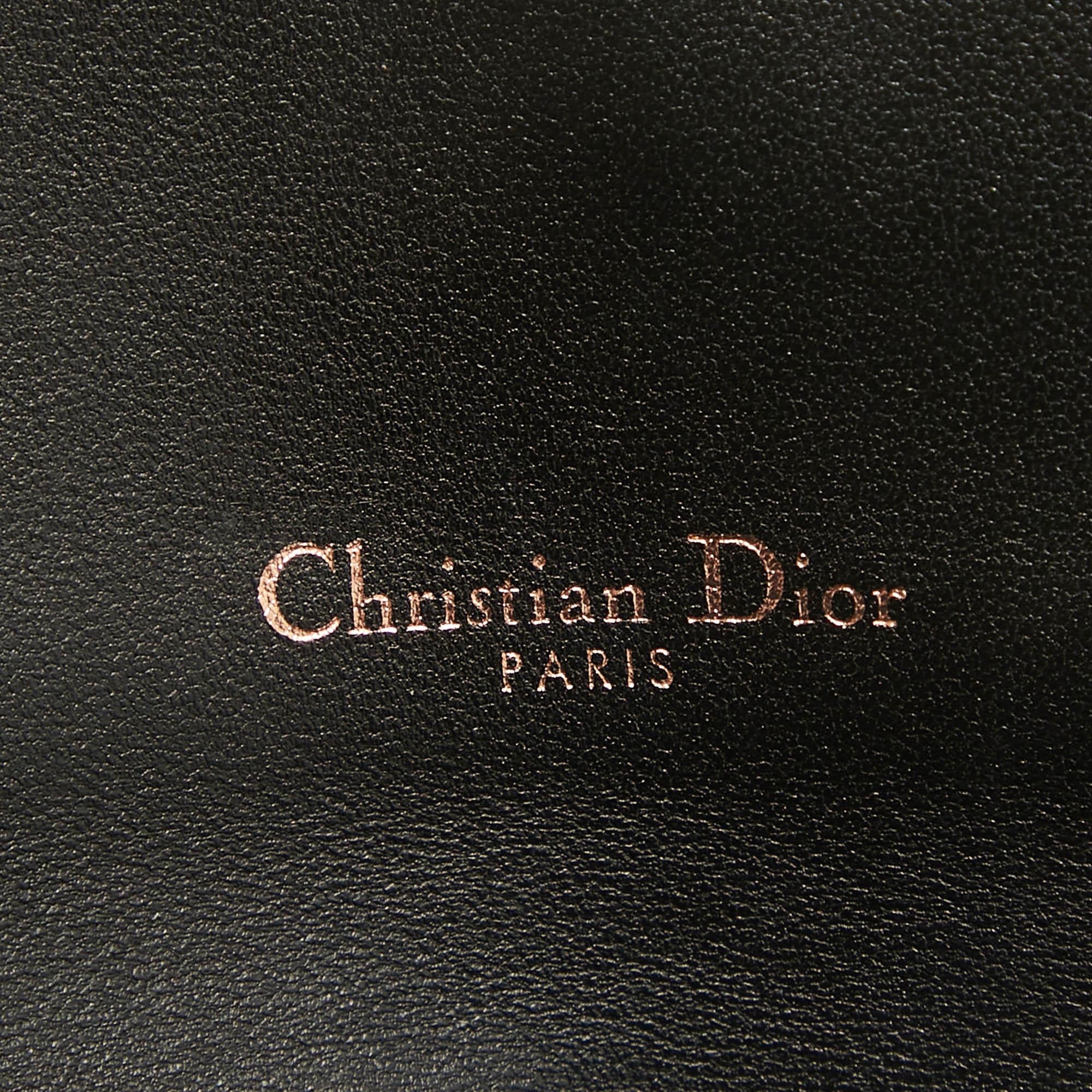 Dior Multicolor Printed Leather Saddle Wallet on Chain 7