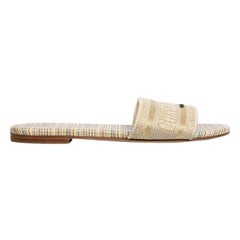 Dior Multicolour Dway Slides Size IT 36.5