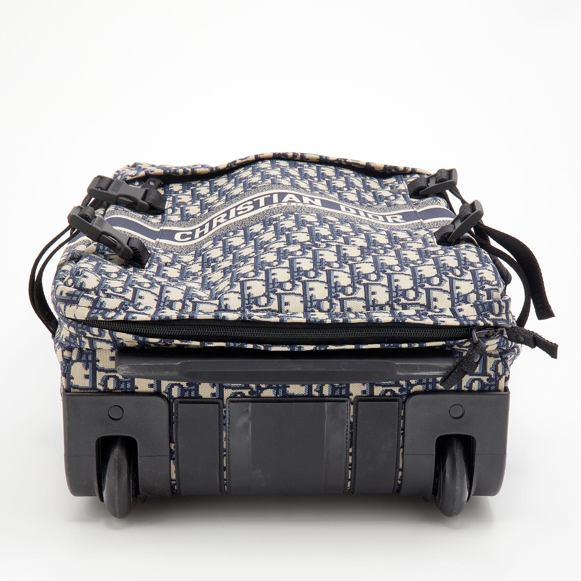 christian dior suitcase