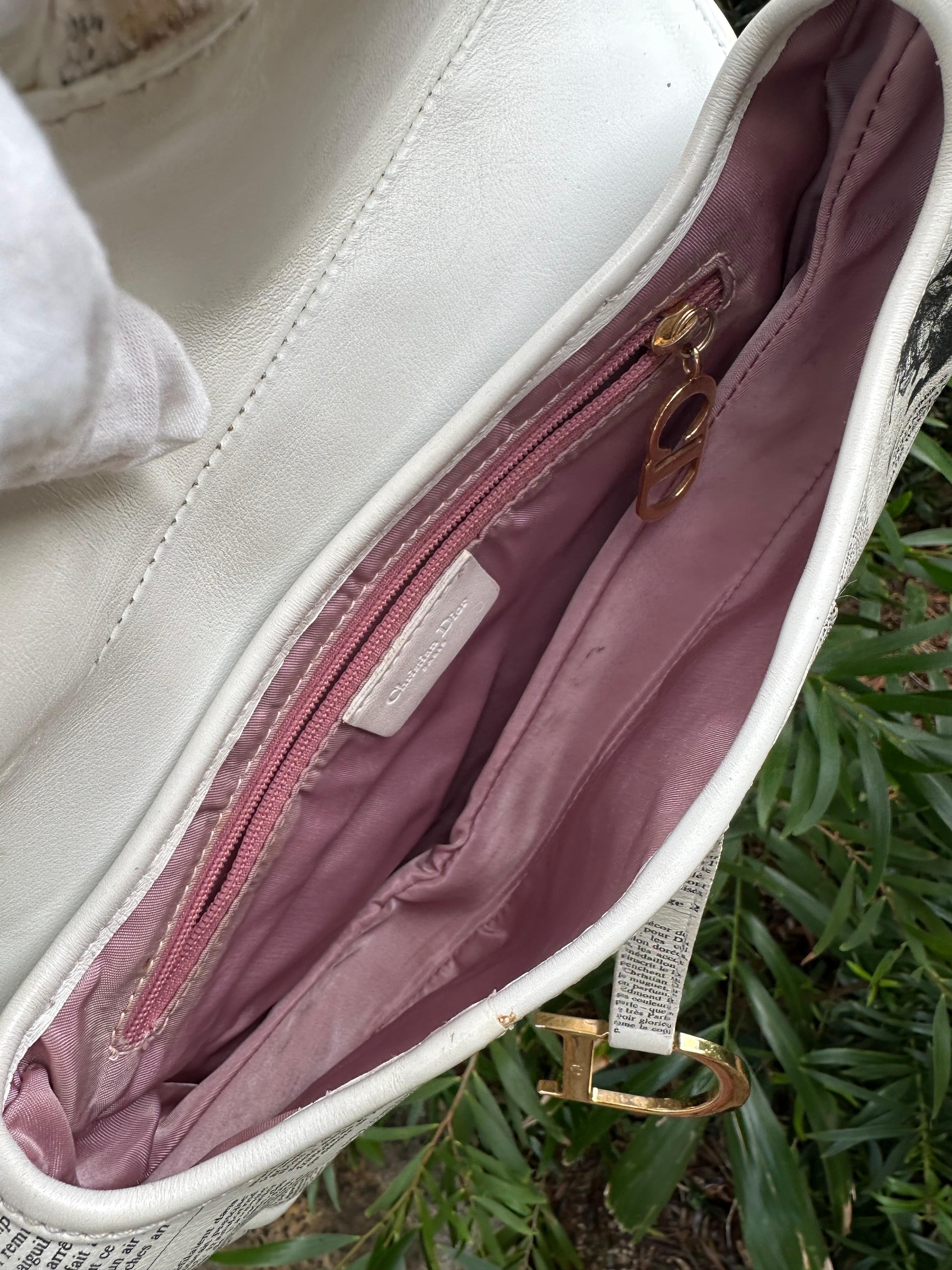 Dior Newspaper Saddle handbag 3