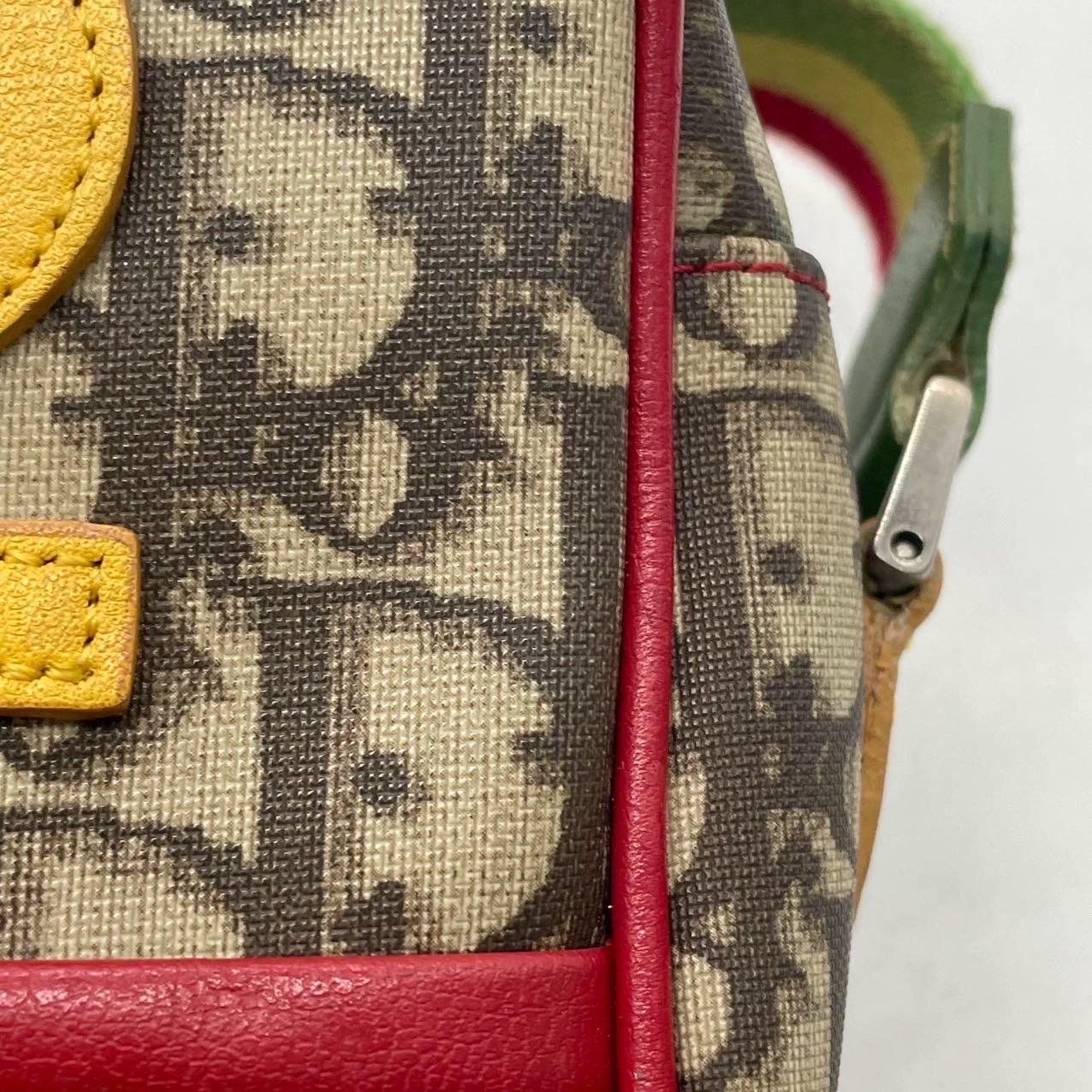 Dior n. 2 Rasta Trotter Camera Bag Beige Monogram Red Yellow Green Web Strap in vendita 10