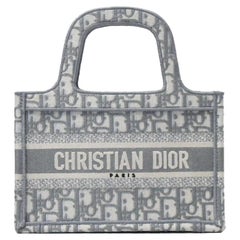 Dior Oblique Embroidery Mini Book Tote Gray