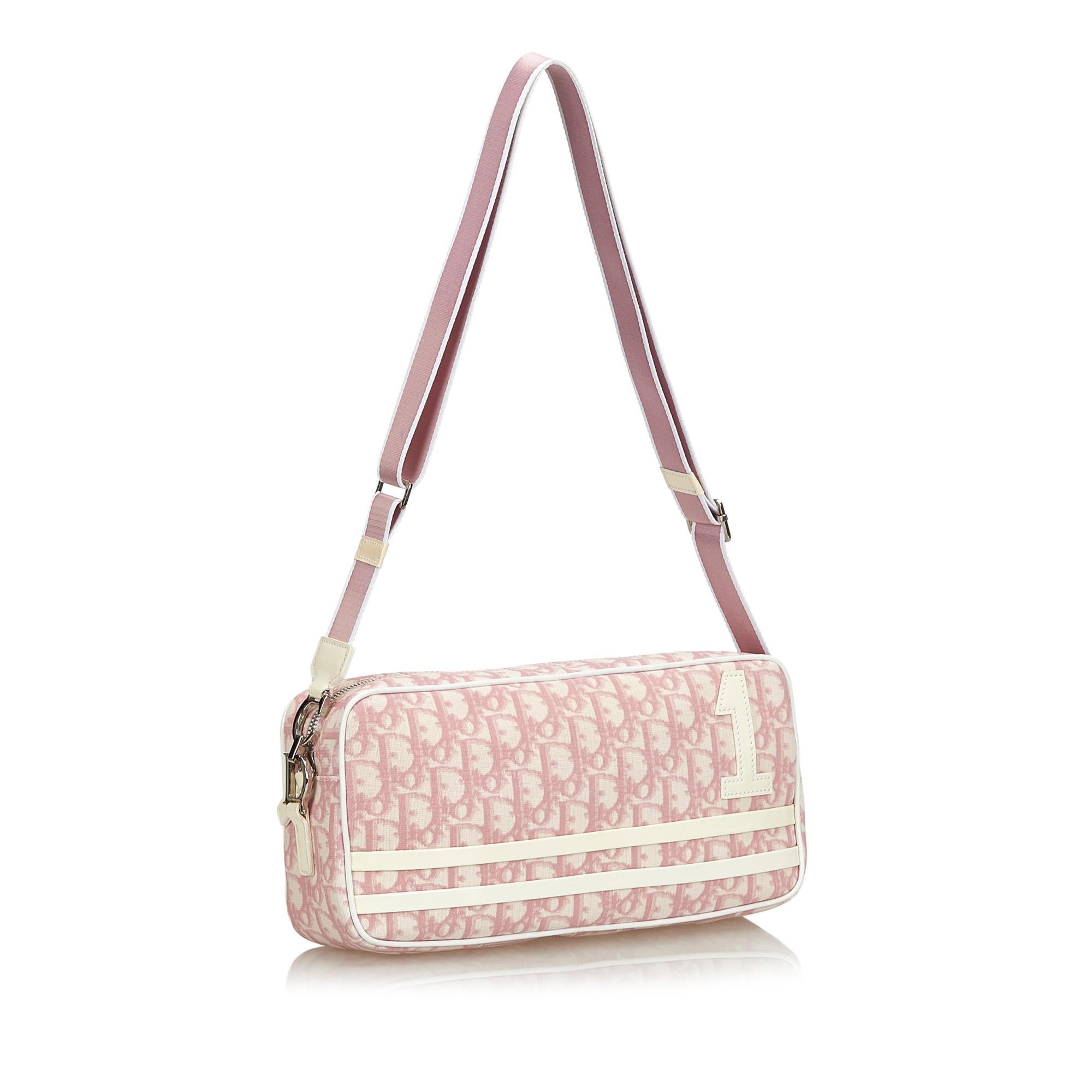 dior oblique trotter bag