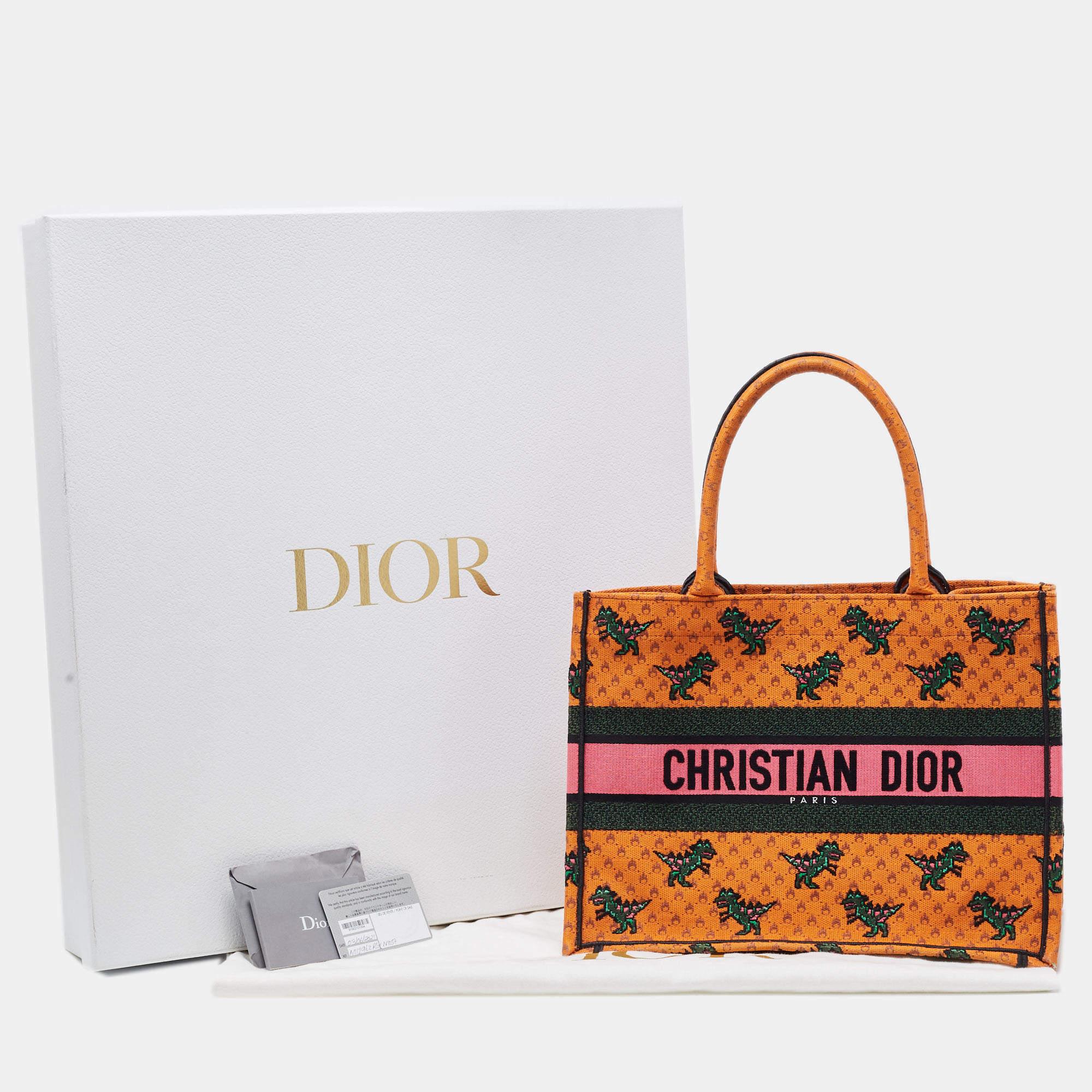 Dior dinosaur bag on sale