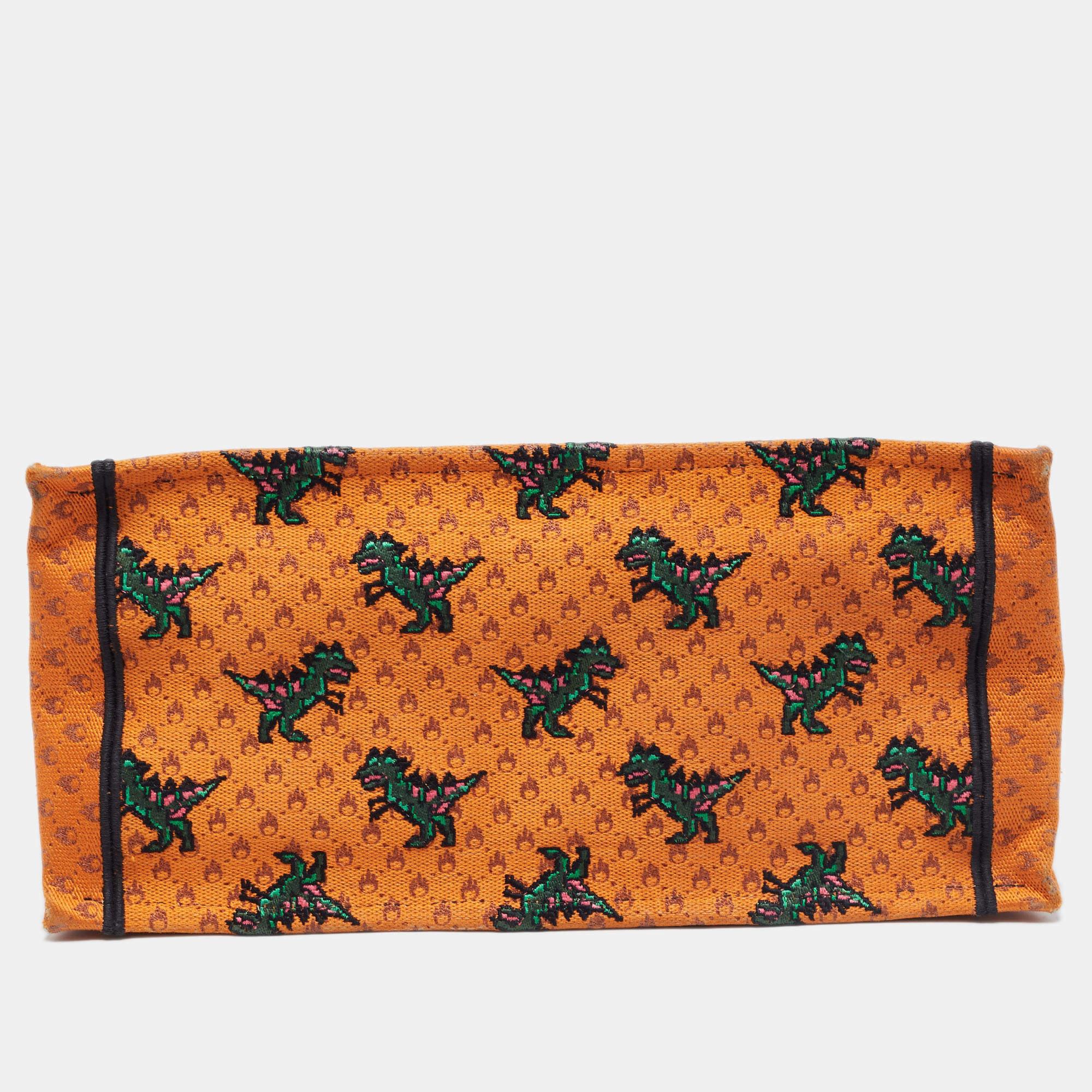 Women's Dior Orange/Green Embroidered Canvas Medium Dino Book Tote