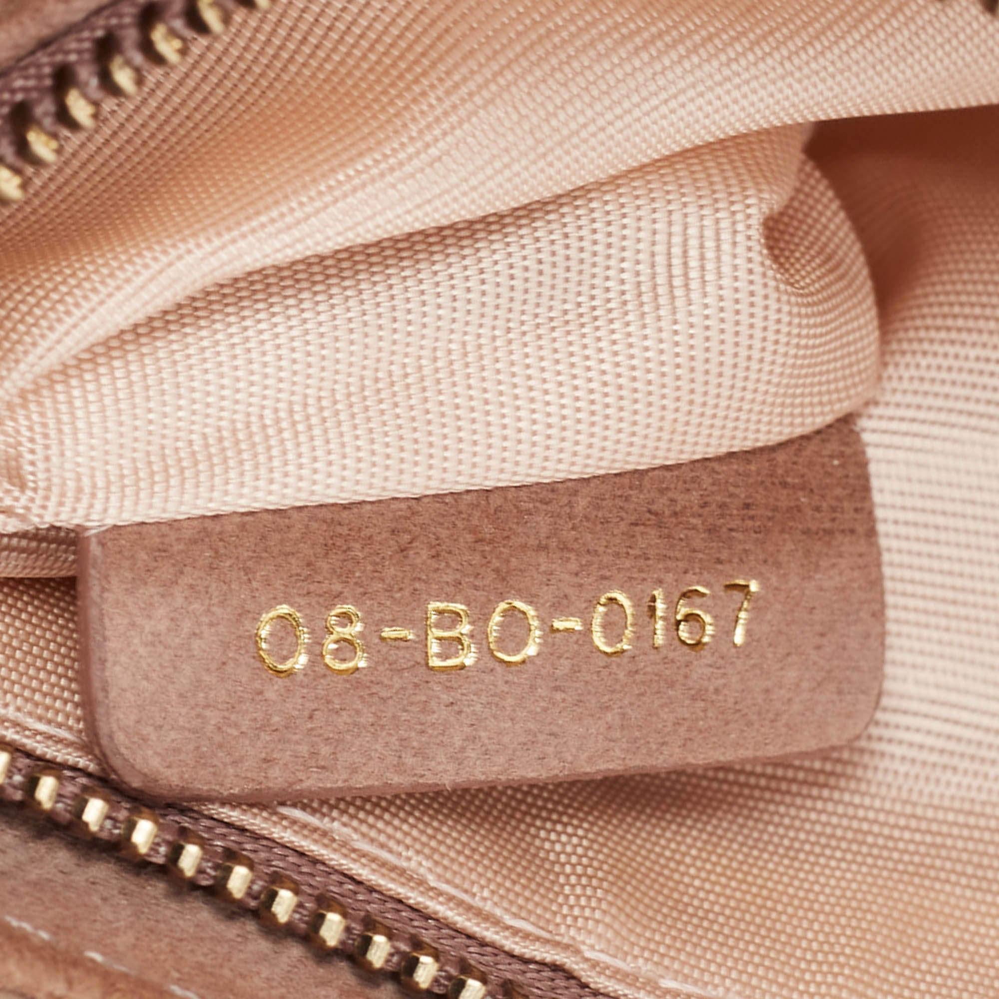 Dior Pink Leather Studded Diorama Wallet on Chain 4