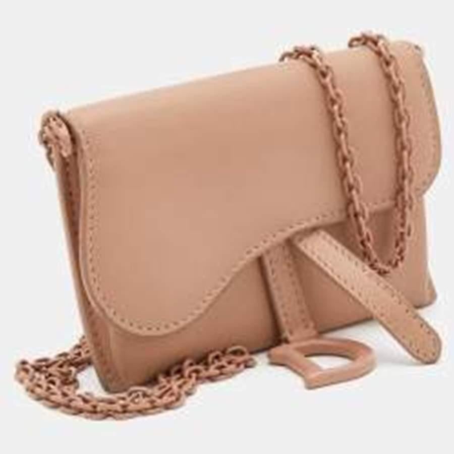 dior saddle pouch with chain