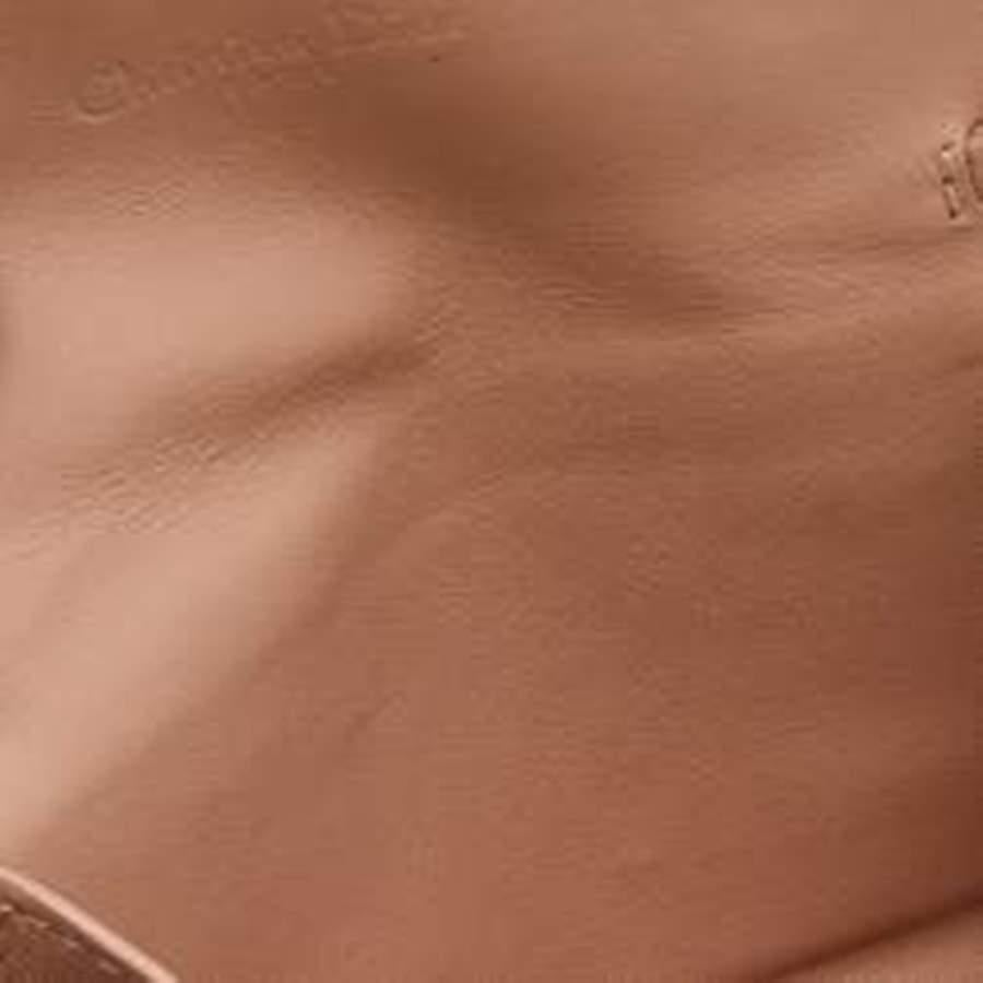Dior Pink Leather Ultra Matte Nano Saddle Chain Pouch 1
