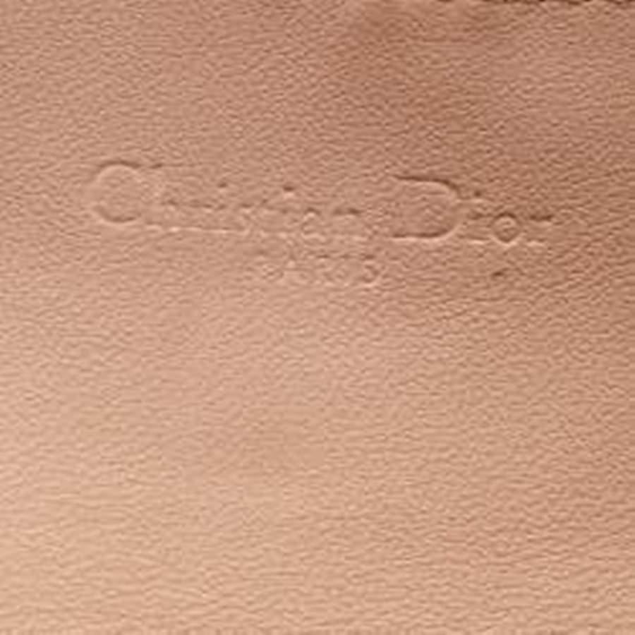 Dior Pink Leather Ultra Matte Nano Saddle Chain Pouch 2