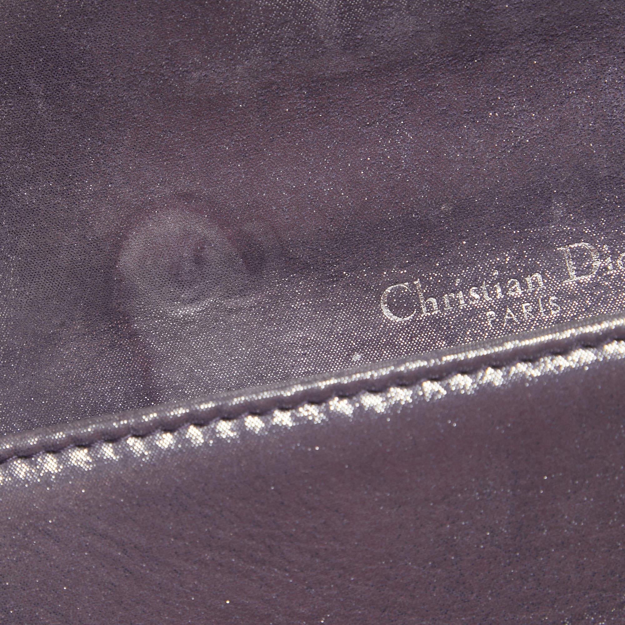 Dior Purple Iridescent Leather Diorama Wallet on Chain 12