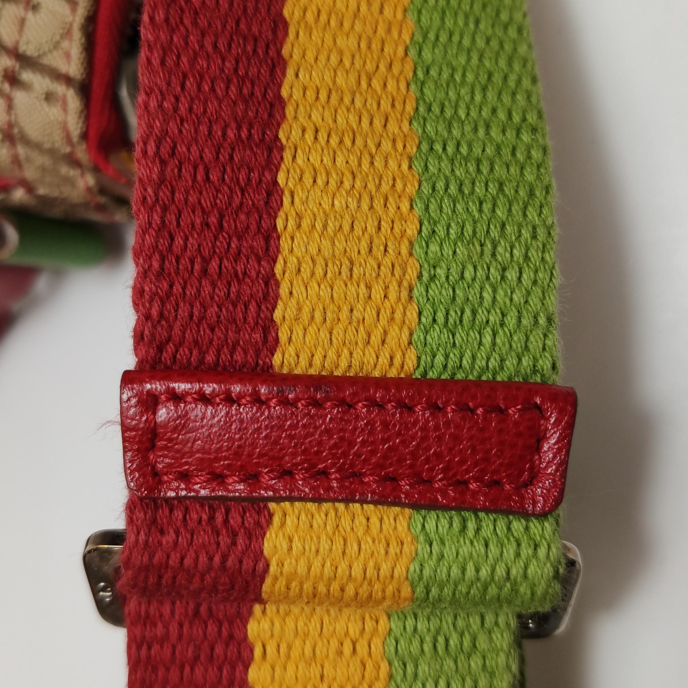 Dior Rasta Trotter Double Saddle Crossbody Shoulder Bag For Sale 5