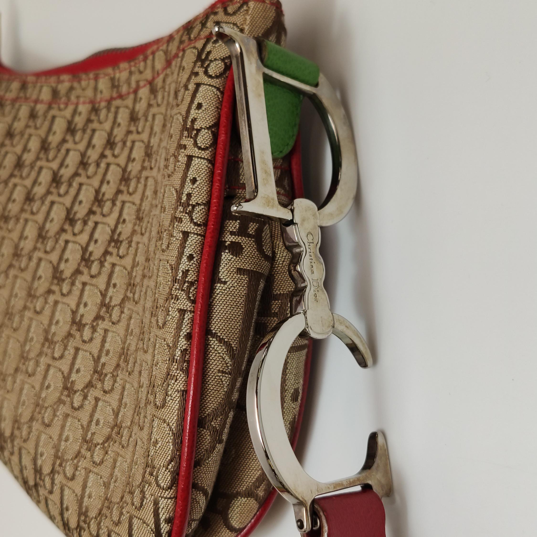 Dior Rasta Trotter Double Saddle Crossbody Shoulder Bag For Sale 9