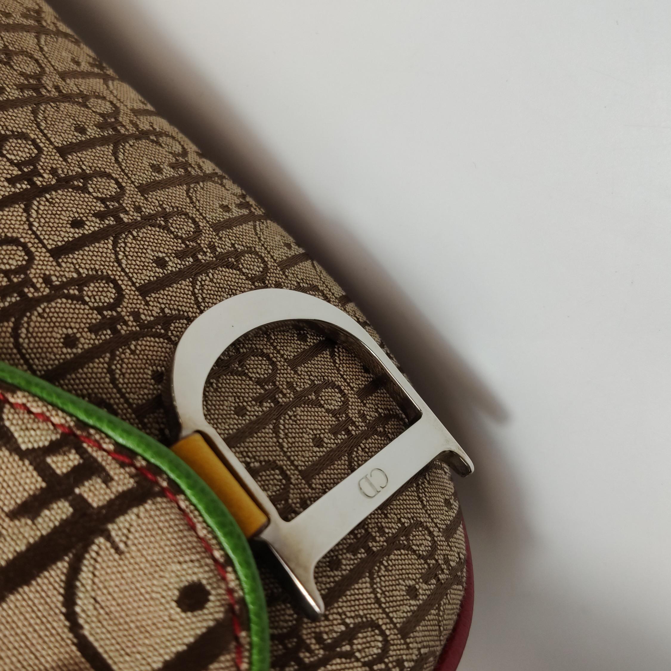 Dior Rasta Trotter Double Saddle Crossbody Shoulder Bag For Sale 10