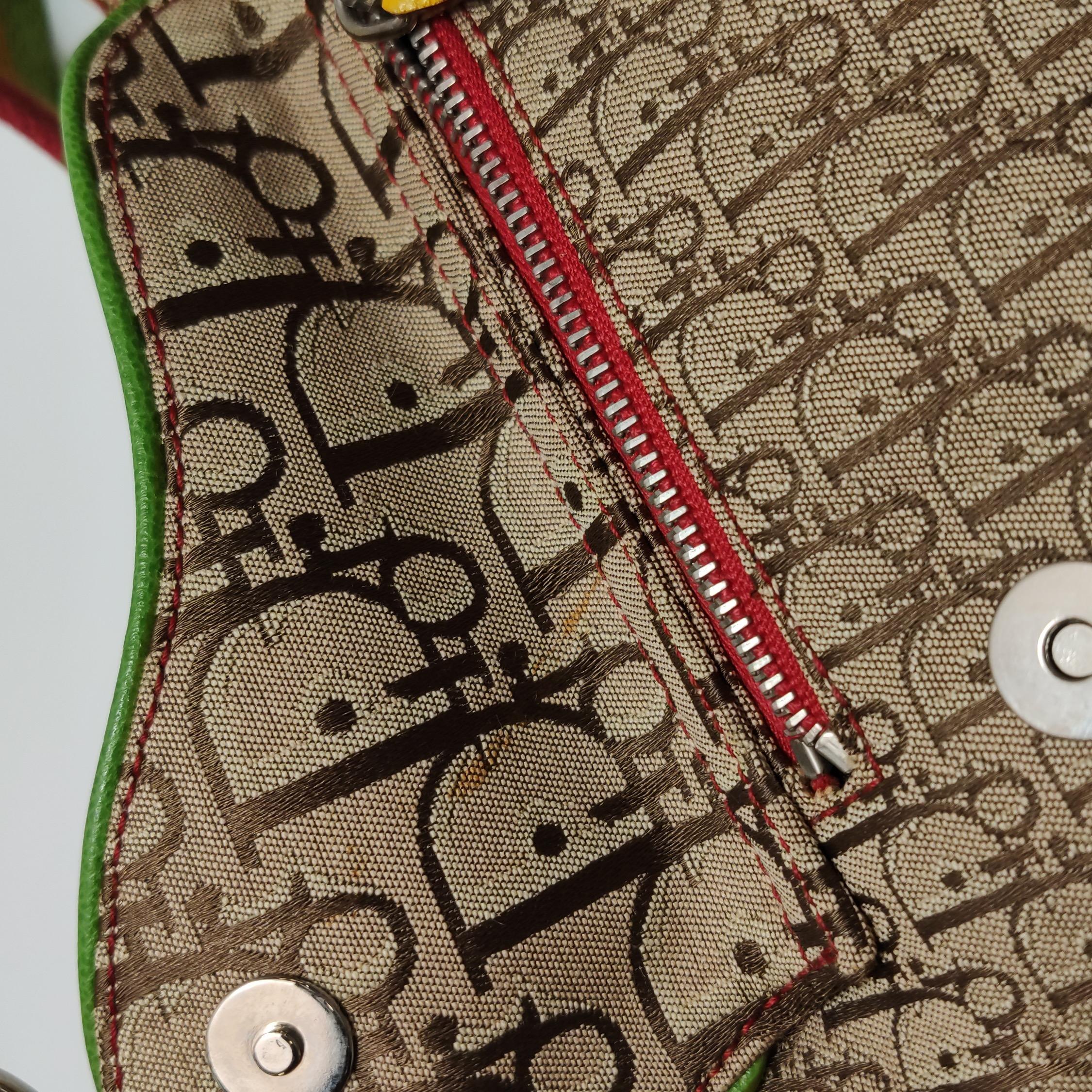 Dior Rasta Trotter Double Saddle Crossbody Shoulder Bag For Sale 13