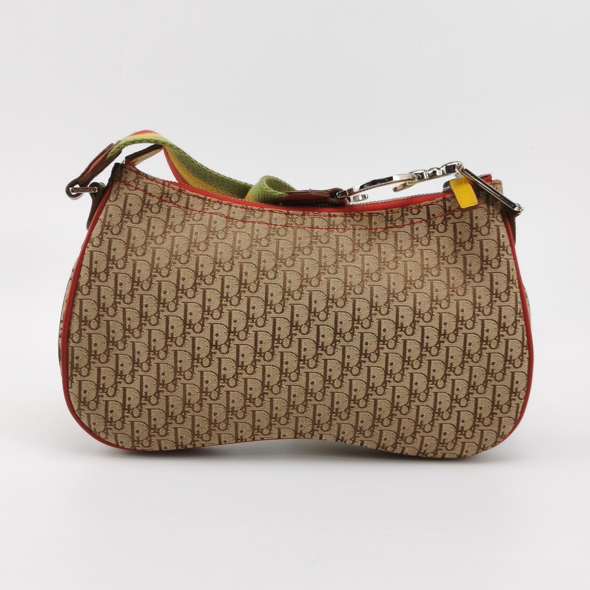 Brown Dior Rasta Trotter Double Saddle Crossbody Shoulder Bag For Sale