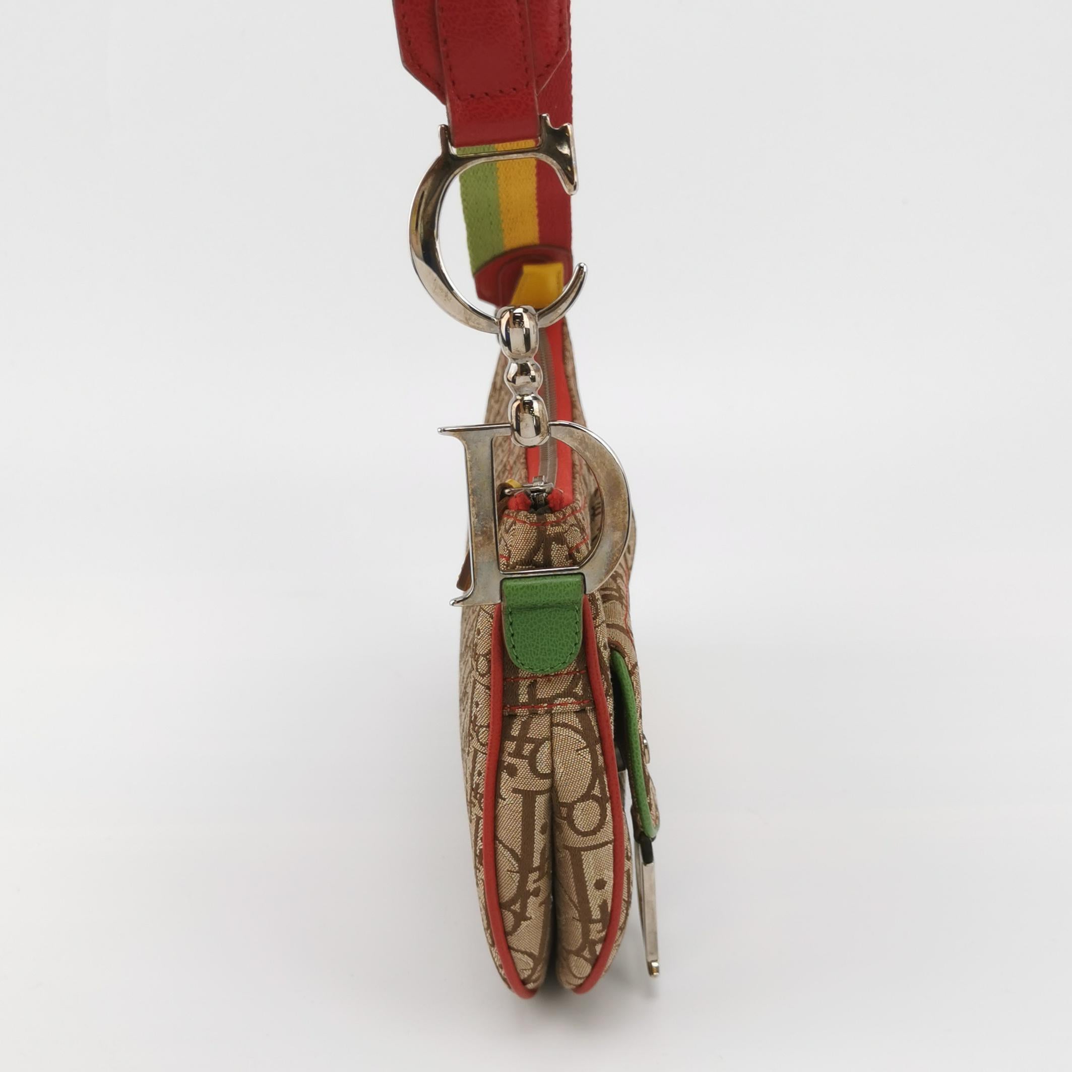 Dior Rasta Trotter Double Saddle Crossbody Shoulder Bag In Good Condition For Sale In AUBERVILLIERS, FR