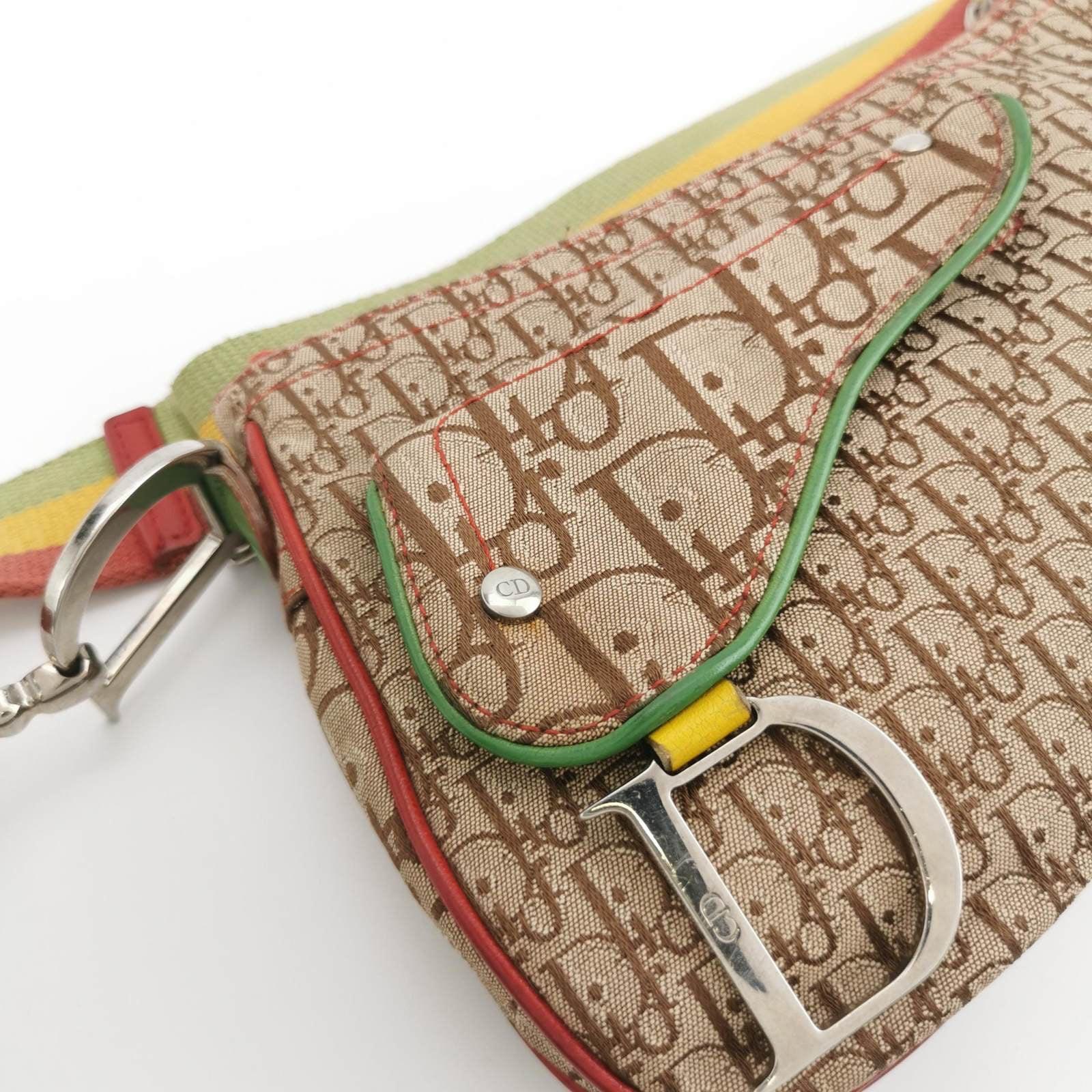 Dior Rasta Trotter Double Saddle Shoulder Bag 7