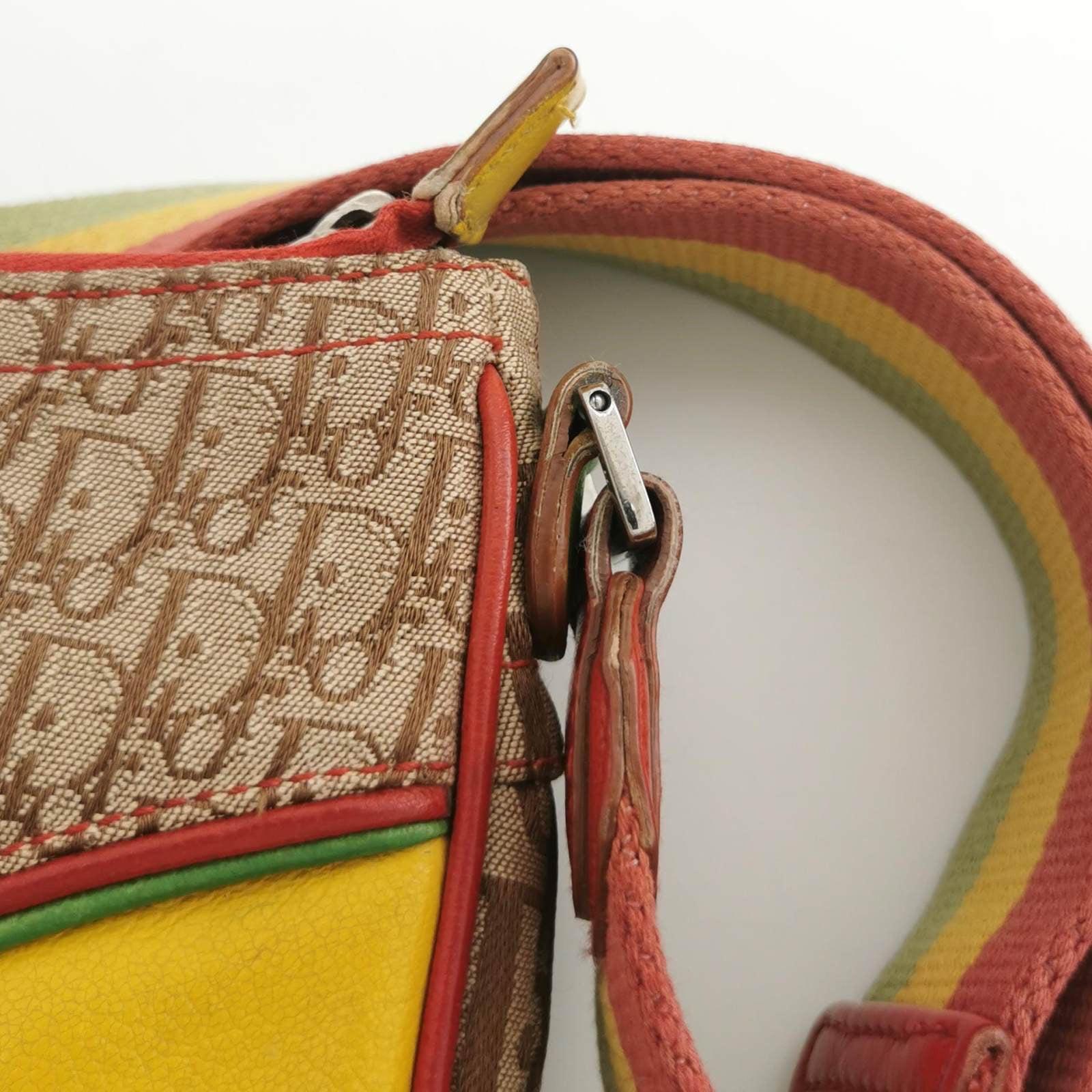 Dior Rasta Trotter Double Saddle Shoulder Bag 9