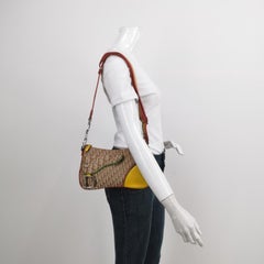 Dior Rasta Trotter Double Saddle Shoulder Bag