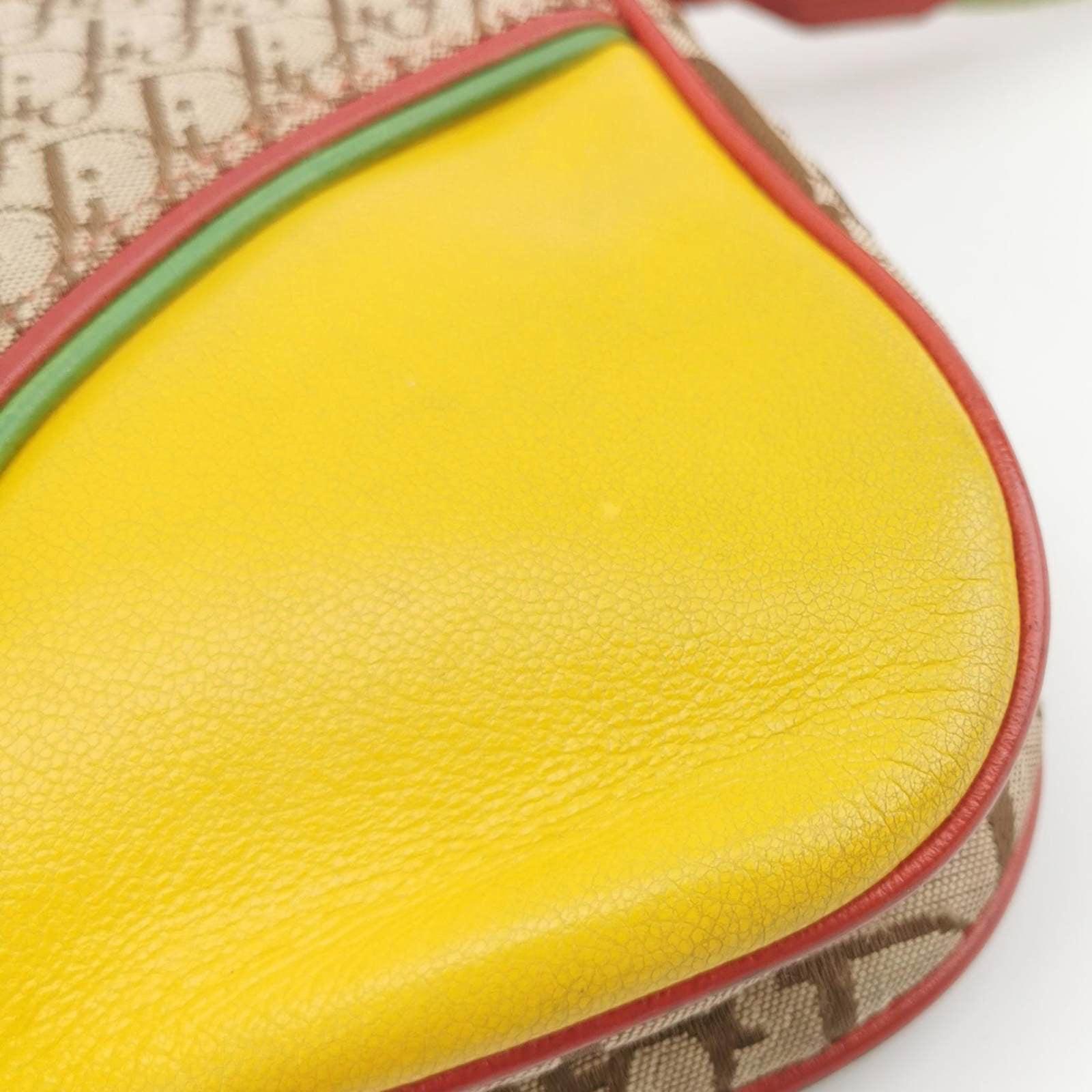 Dior Rasta Trotter Double Saddle Shoulder Bag 5