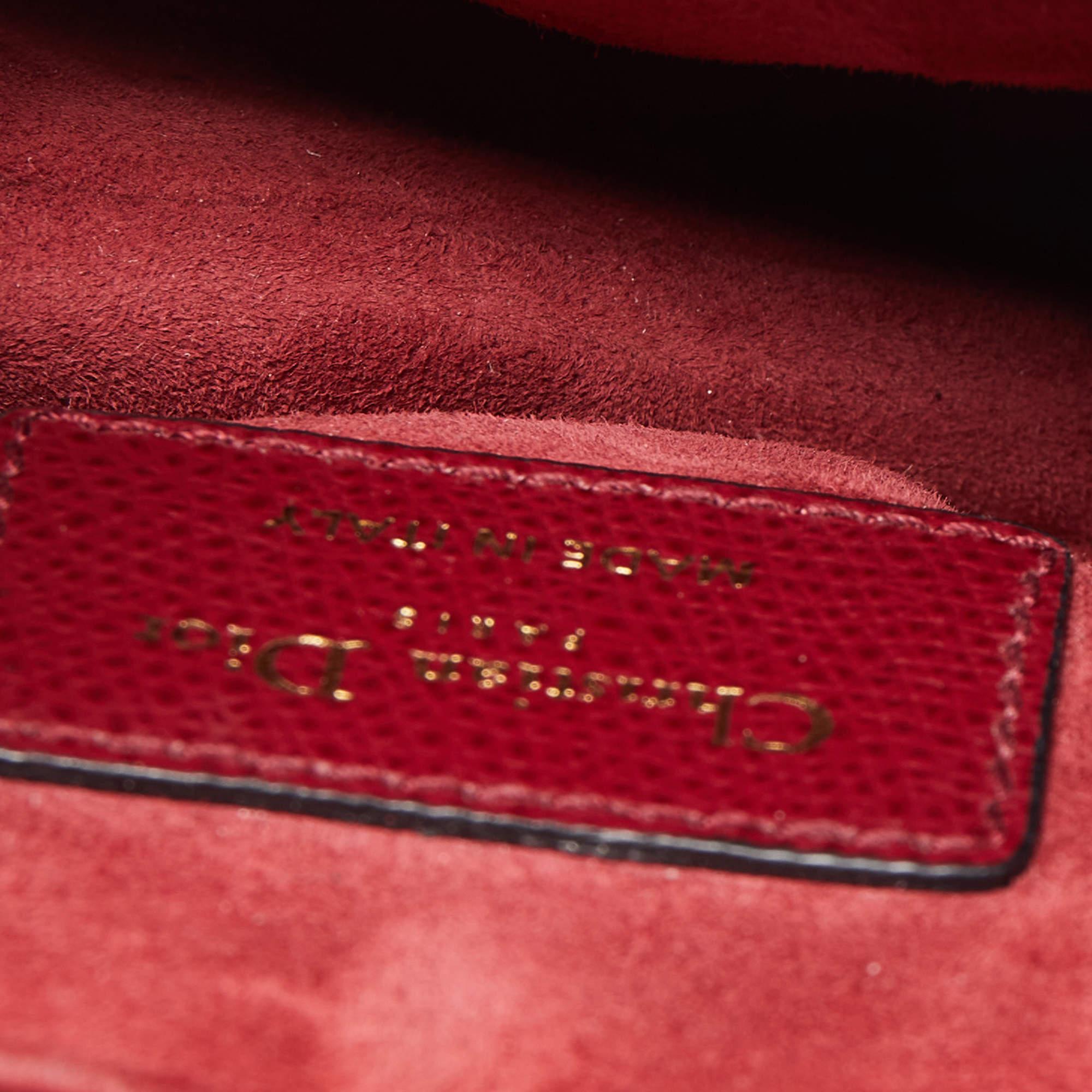 Dior Red Leather Mini Saddle Bag 2