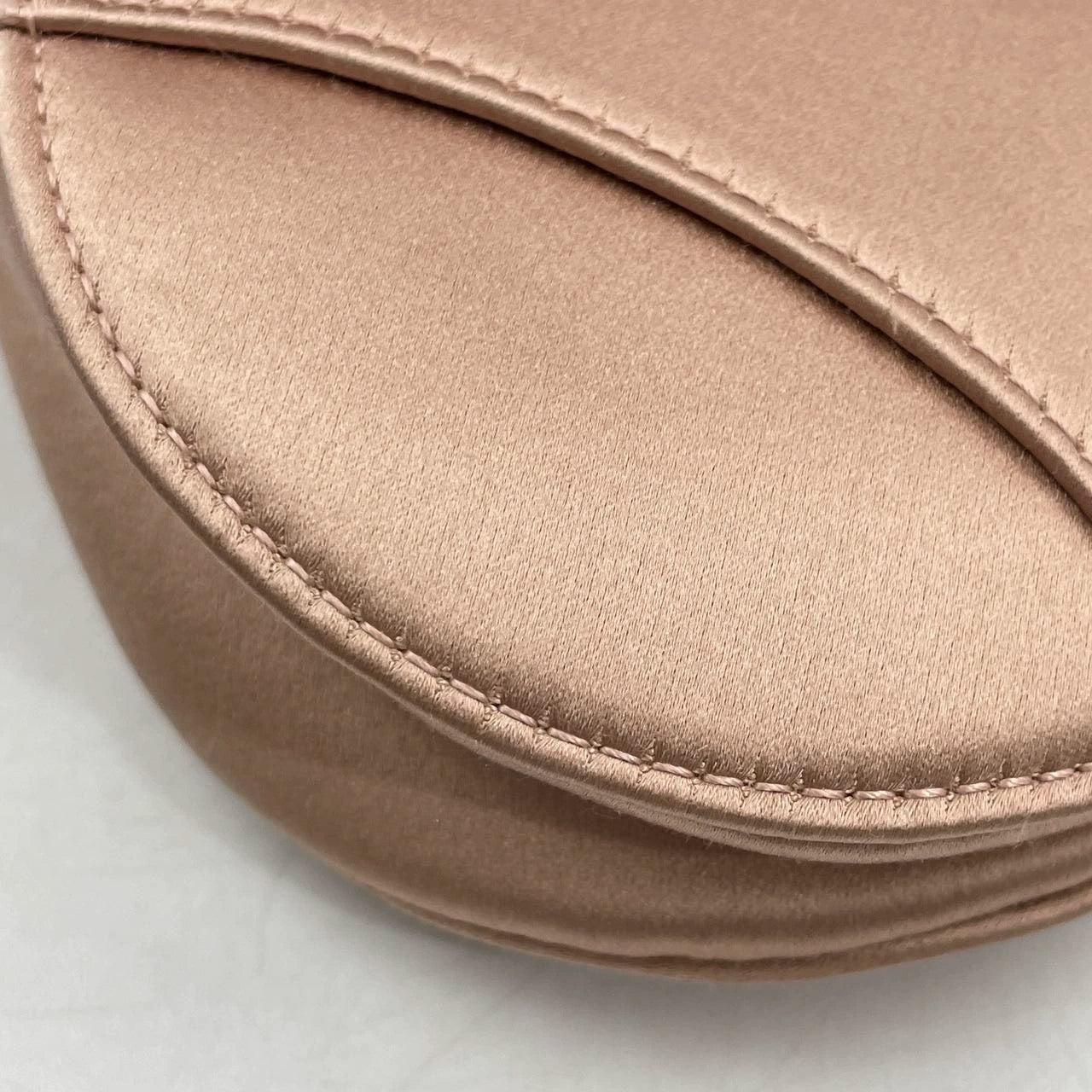 Dior Saddle Mini Silk Pink with crystals 5