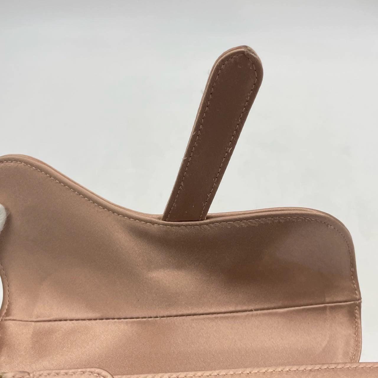 Dior Saddle Mini Silk Pink with crystals 10