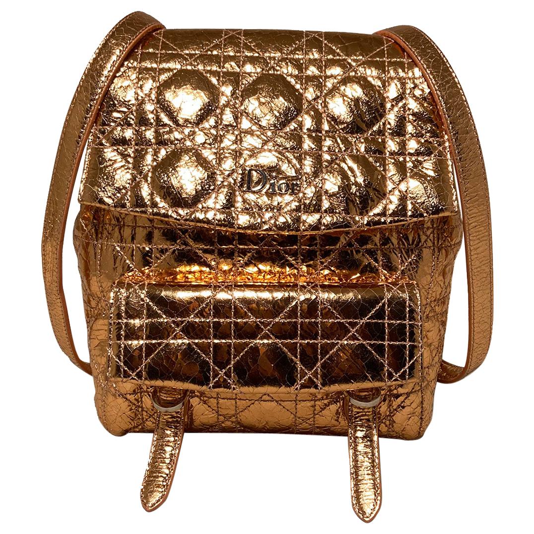 Dior Metallic Bronze Ceramic Effect Leather Stardust Backpack at 1stDibs