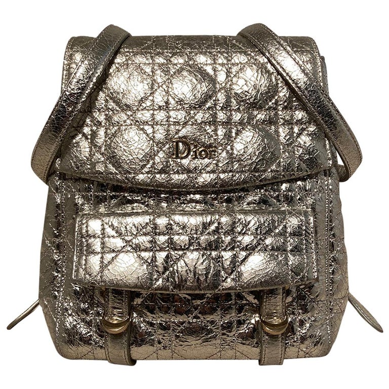 Dior Stardust Silver Leather Backpack For Sale at 1stDibs